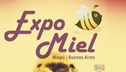 Expo miel